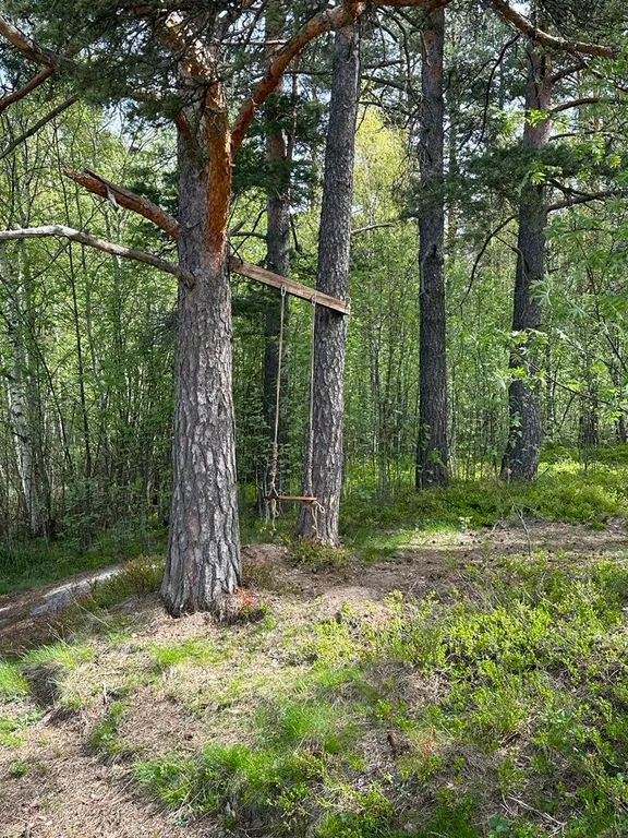 Уютный дом в лесу с видом на залив