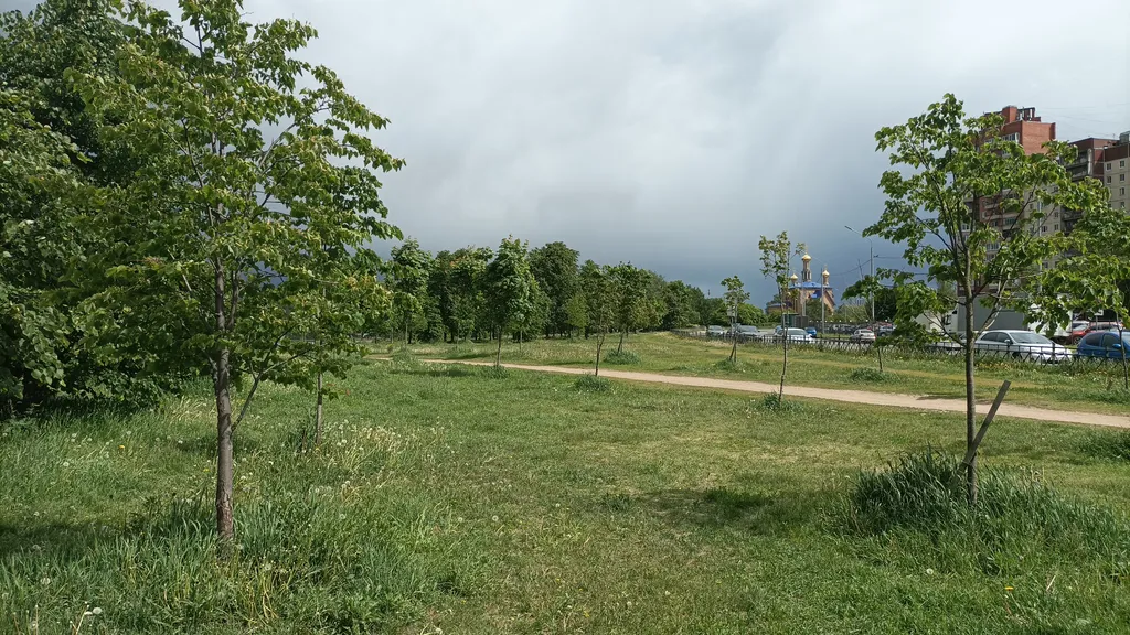 Парус