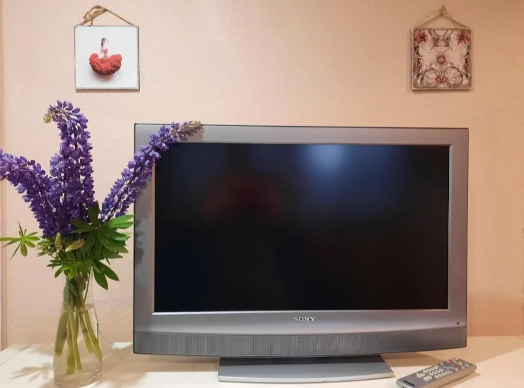 Квартира Уютная квартира в центре города — Калининград