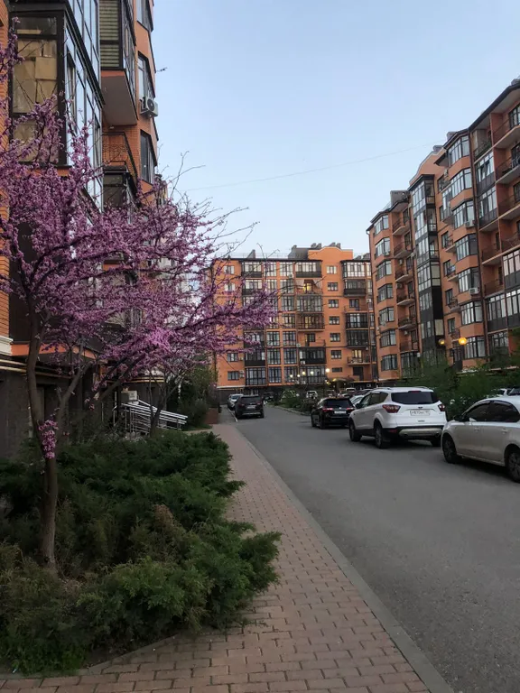 Lux Центр Города!
Кто ценит комфорт и чистоту!