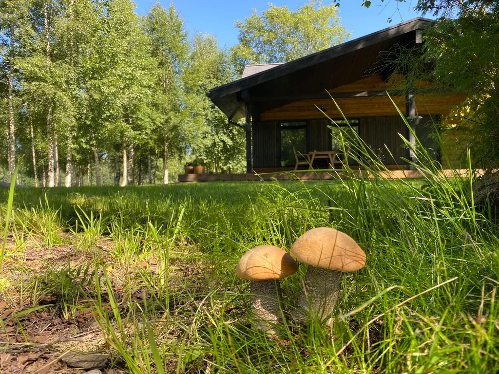 Дом на берегу реки