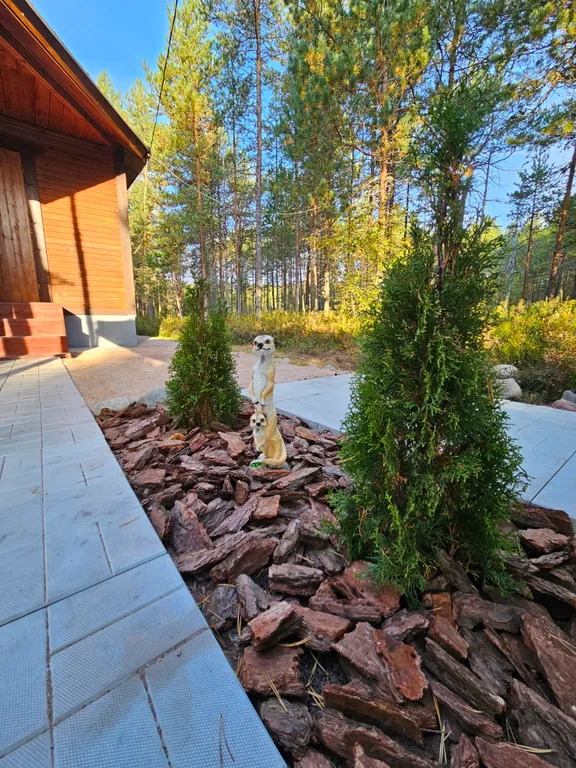 Ильинка в Карелии