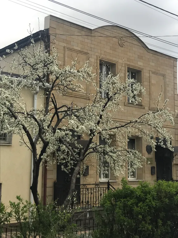 Апартаменты 4