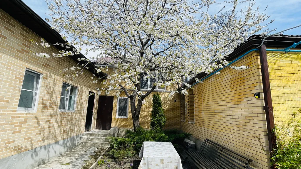 Новая квартира в центре города