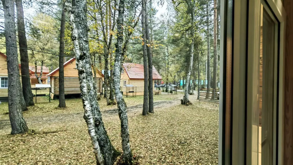 База отдыха Архыз Форест Эко