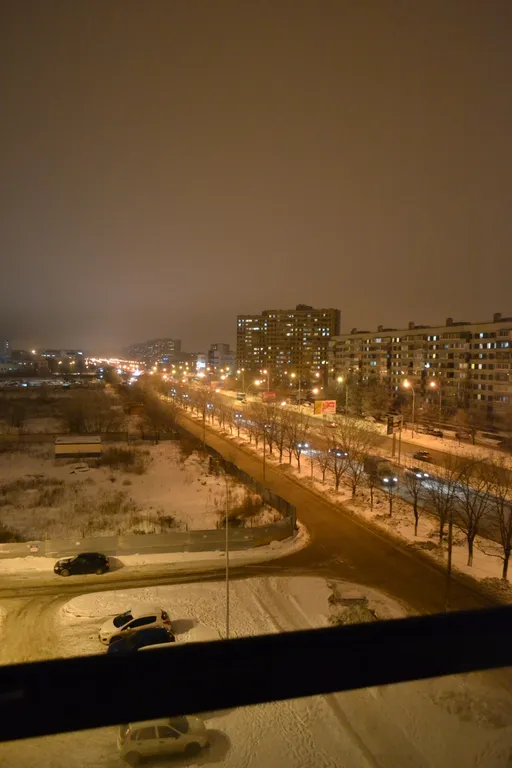 Квартира у леса