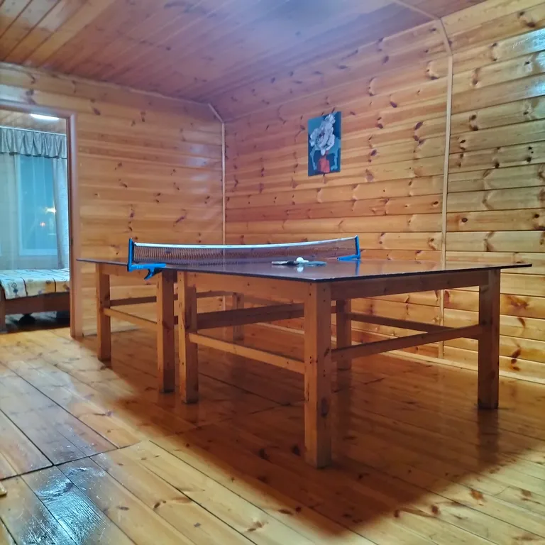 Дом - коттедж У Федота в черте города