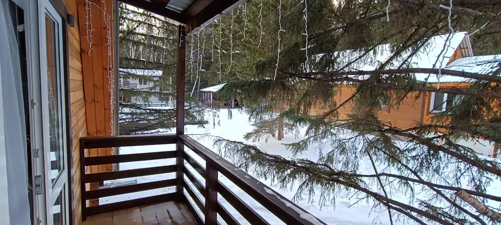 Обновленный люкс