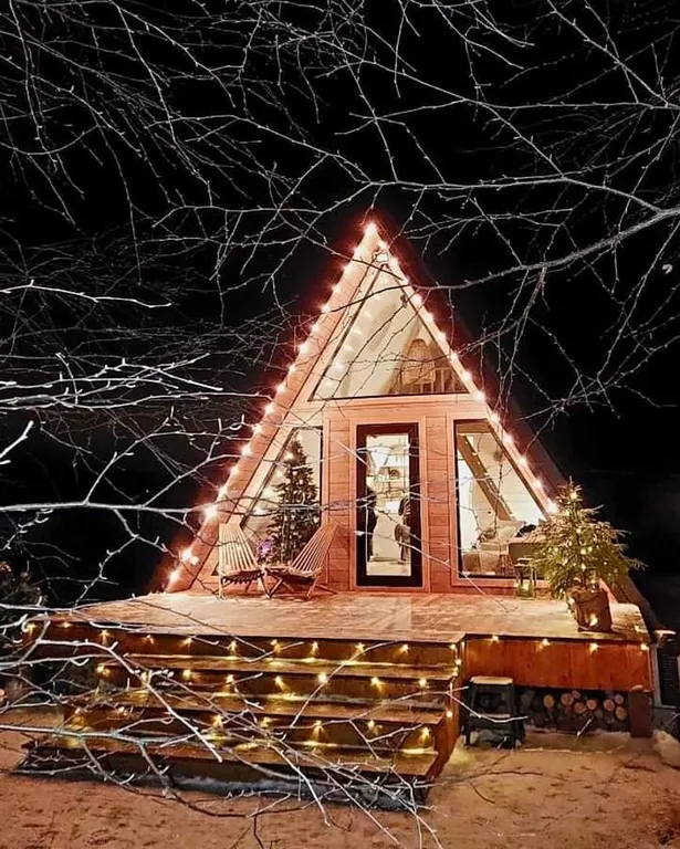 Красивые панорамные домики около леса