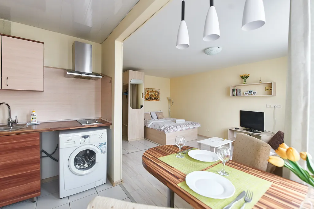 Стильная квартира-студия в центре