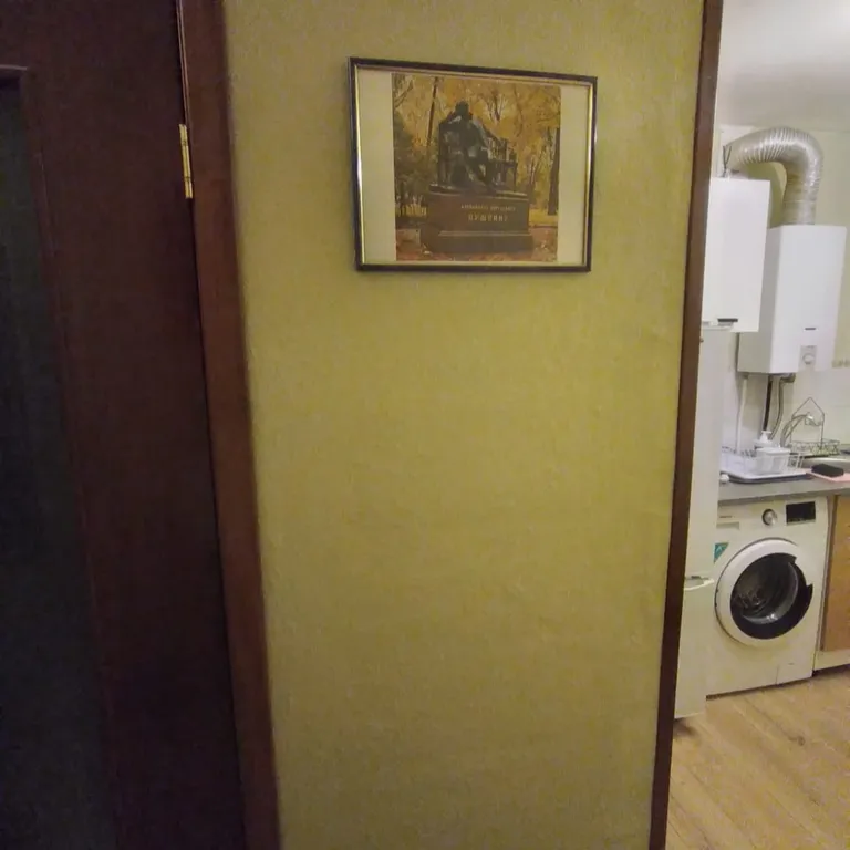 Квартира Уютная квартира, удобная транспортная доступность, зелёный микрорайон — Пушкин