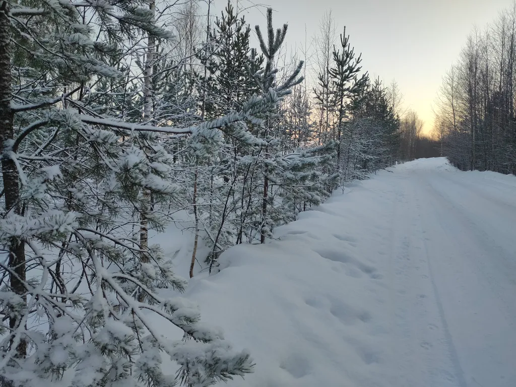 Дом на берегу озера без соседей