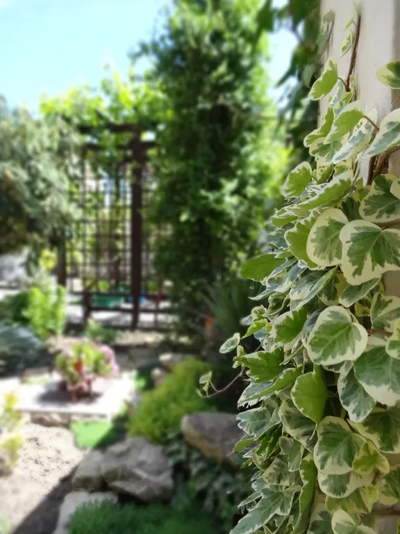 Квартира Трёхкомнатная квартира для большой компании в тихом центре Анапы — Анапа