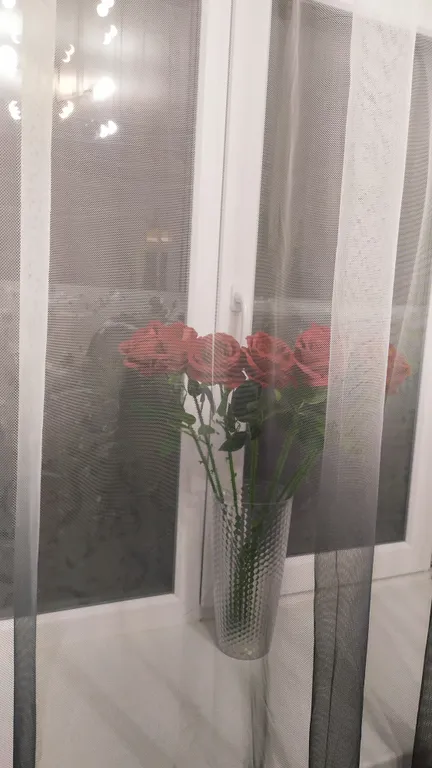 Квартира на площади