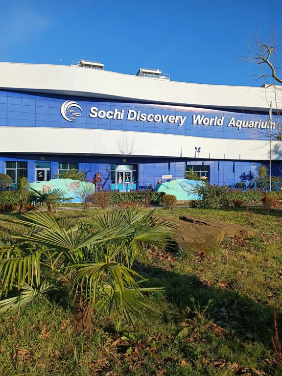 Квартира Двухкомнатная квартира недалеко от моря, рынка, океанариума и дельфинария — Адлер