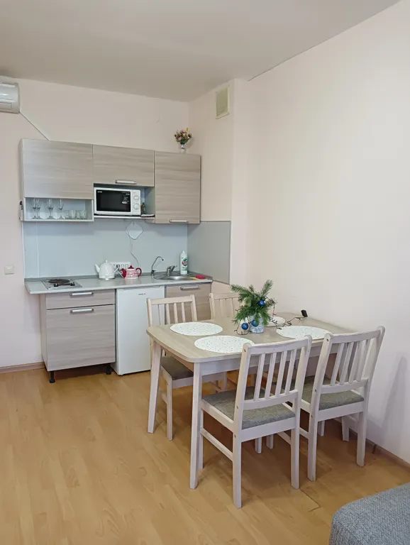 Квартира с видом из окна на покровскую башню и реку великую