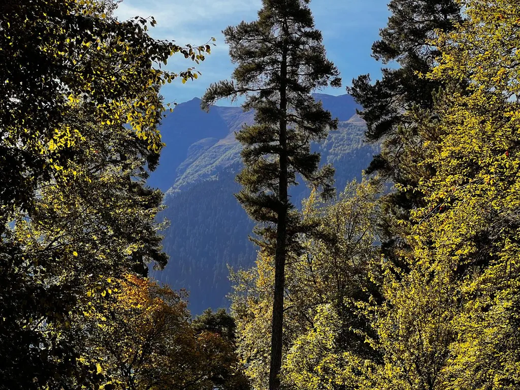 Коттедж Дом А-фрейм в живописном лесу — Архыз