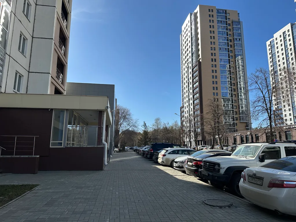 Уютная студия рядом с городским бором в центре города