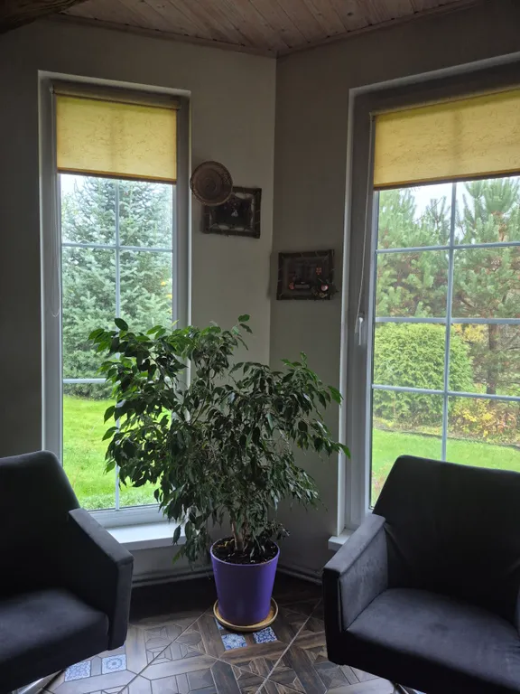 Хутор Избушка на опушке леса, возле реки