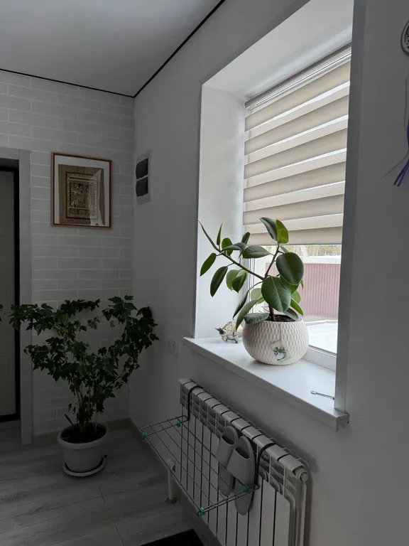 Новый коттедж возле соснового леса