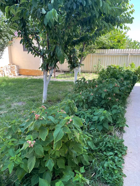 Коттедж с бассейном у Каспия