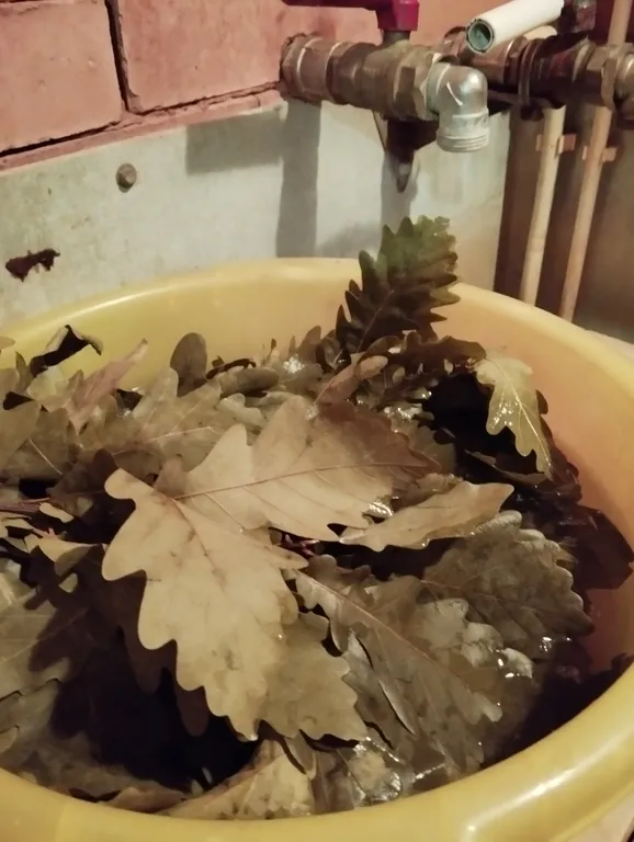 Дом на берегу