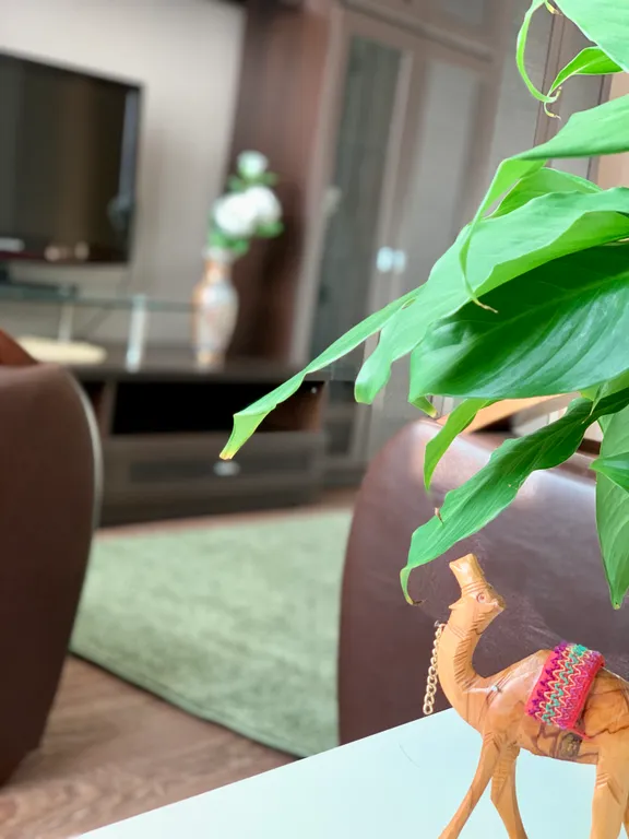 Просторная трешка в самом центре города