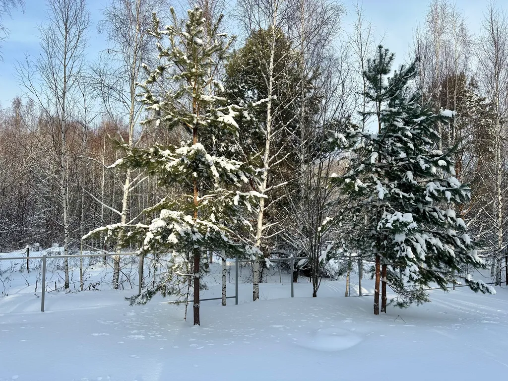 Happy Dacha стильный барнхаус с баней возле Иннополиса