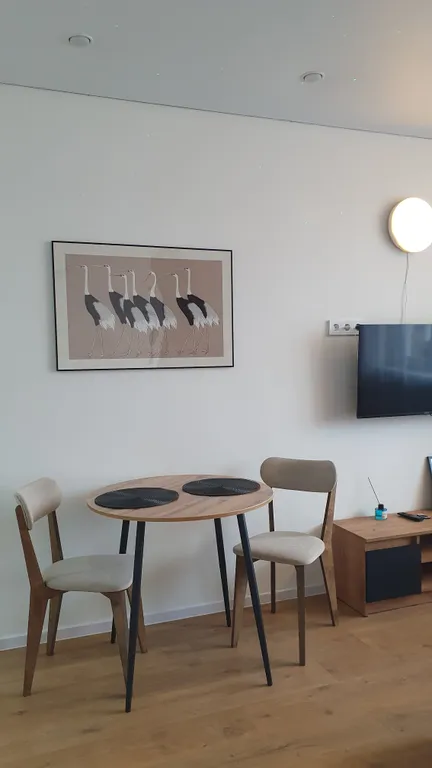 Уютная стильная студия Луна