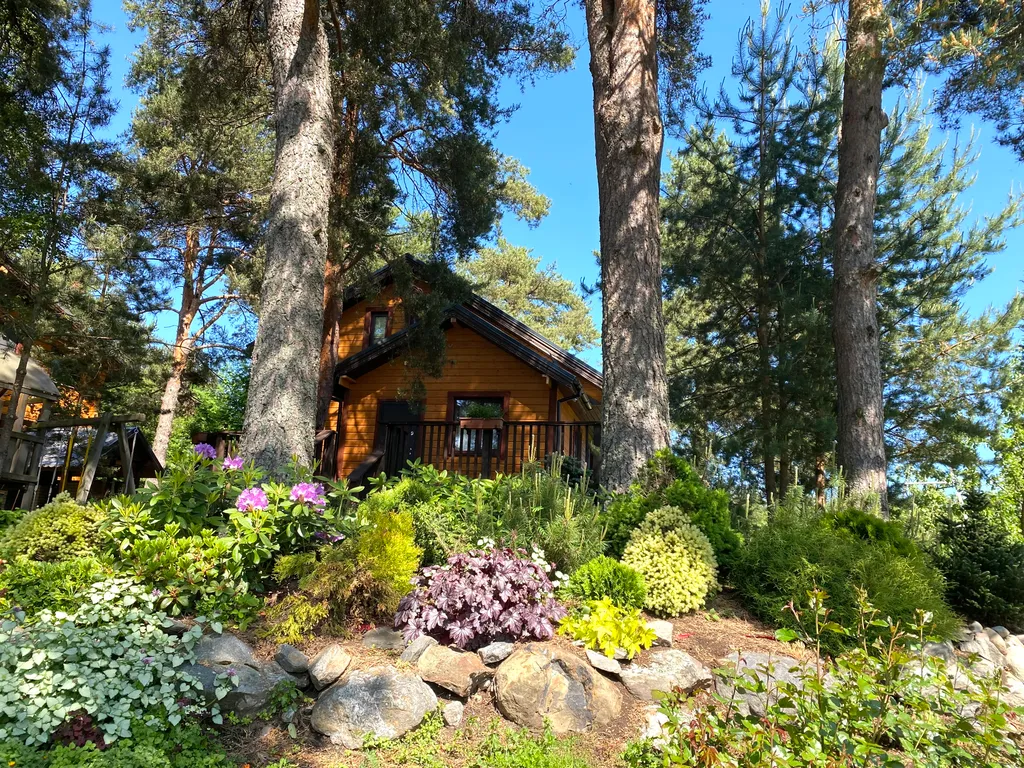 Домик в живописном месте на берегу Ладожского озера