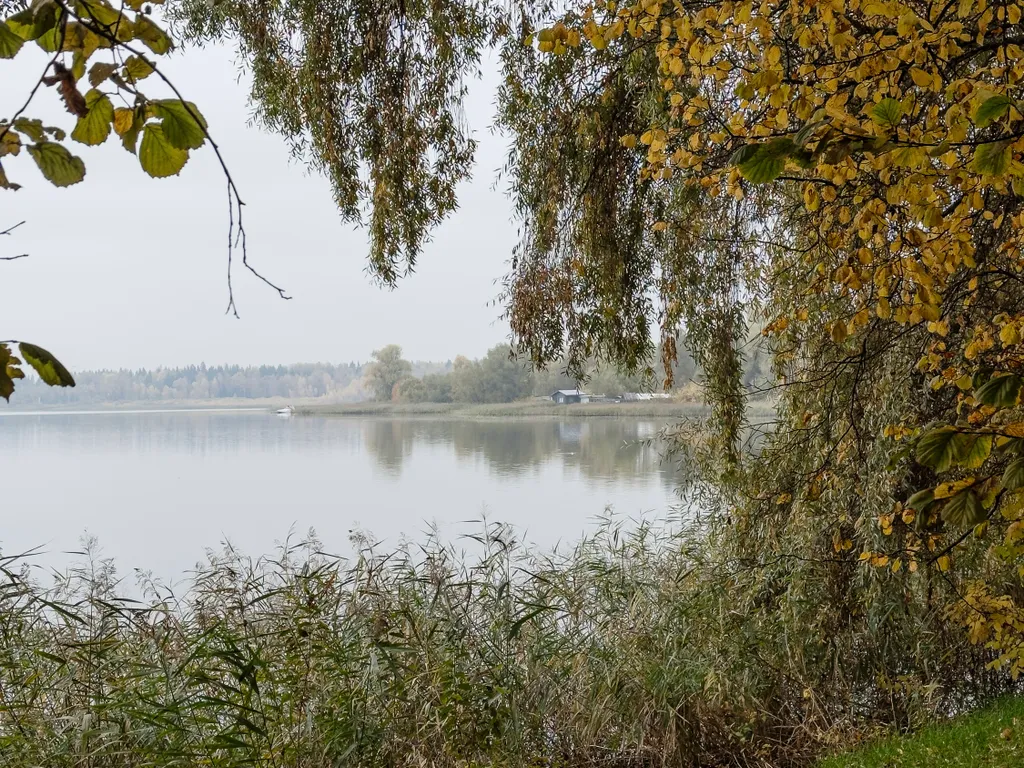 Домик-куб для двоих на берегу реки