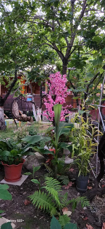 Для тихого семейного отдыха