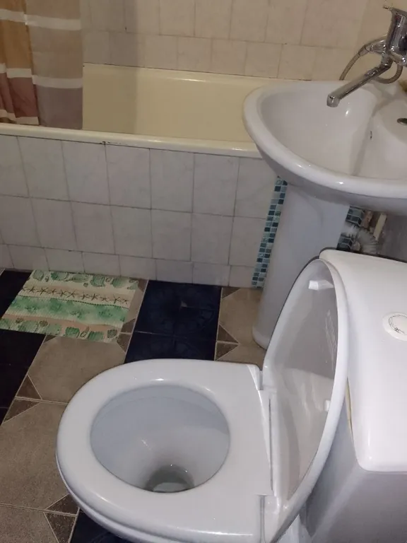 Просторная квартира с видом на горы в посëлке Домбай.