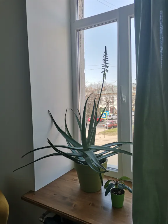 Квартира в доме Котоминых IXX век