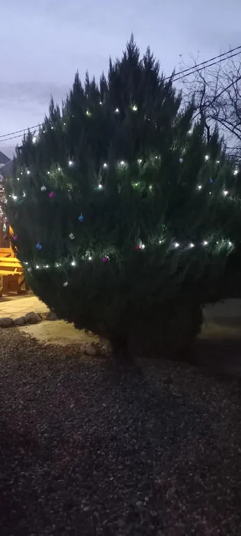 Домик у реки Дах с видом на горы