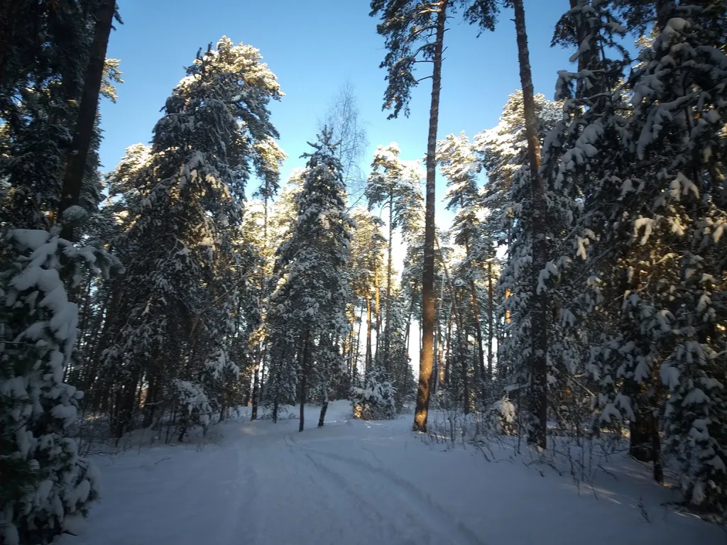 Сказочная Избушка с сауной в соснах у реки