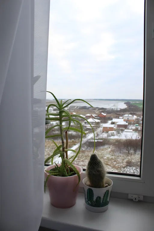 Студия в экологически чистом районе