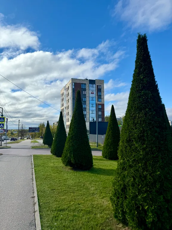 Ждём своих гостей