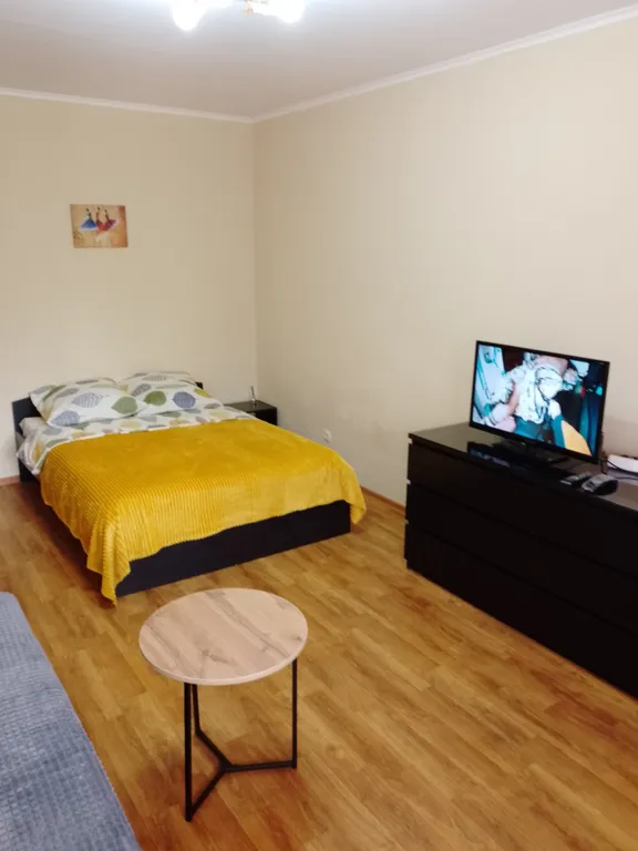 Уютная квартира-эконом возле леса — аренда посуточно в Тольятти