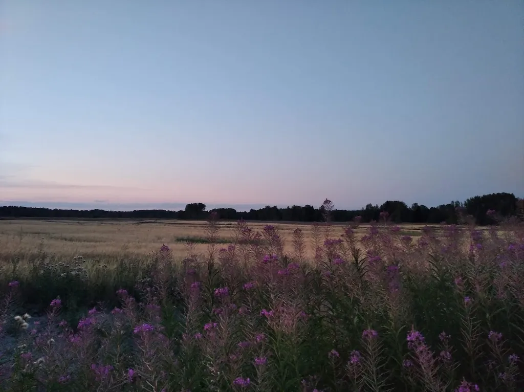 Коттедж Тёплый коттедж с баней на очень большой уединённой территории — Кротово