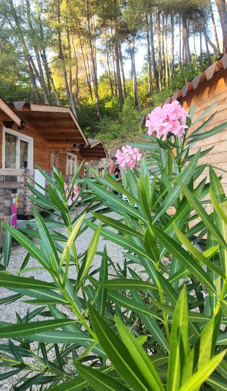 Домики на берегу моря