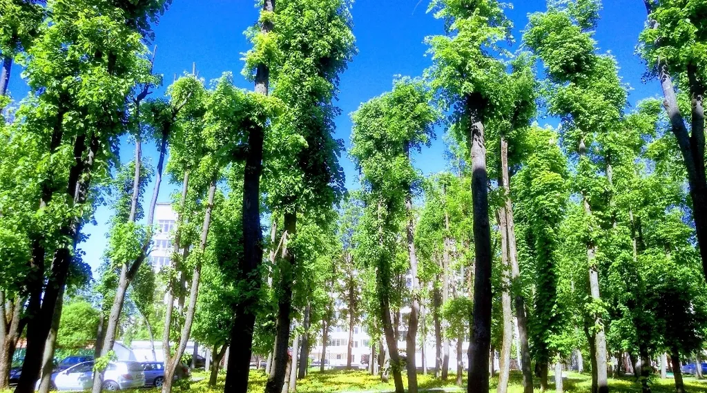 On two levels with two bathrooms