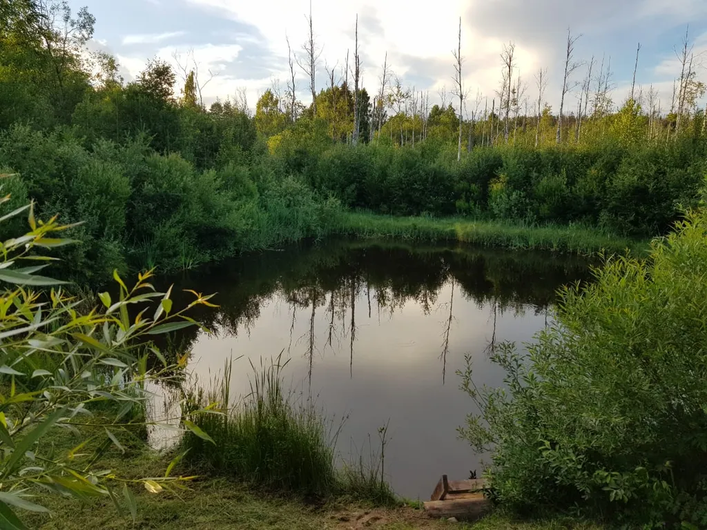 Дом у пруда