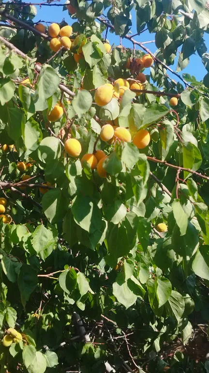 Уютный домик в частном секторе