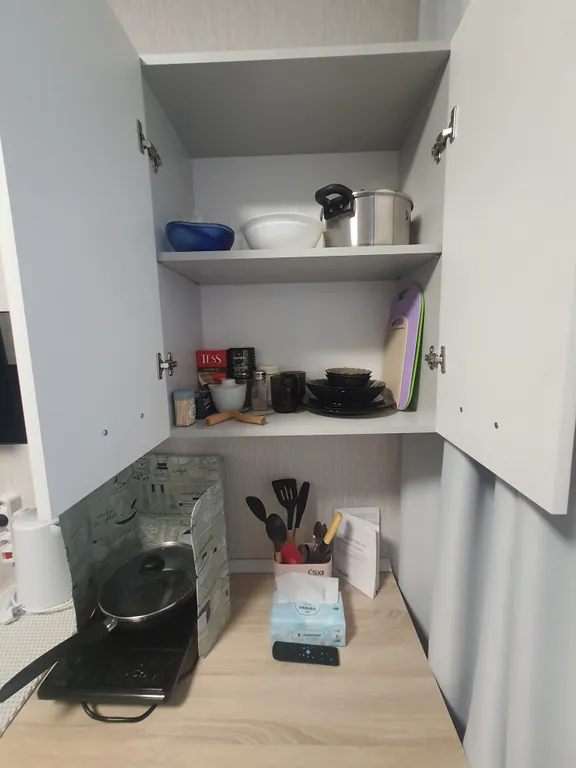 Уютные евродвухкомнатные апартаменты в центре