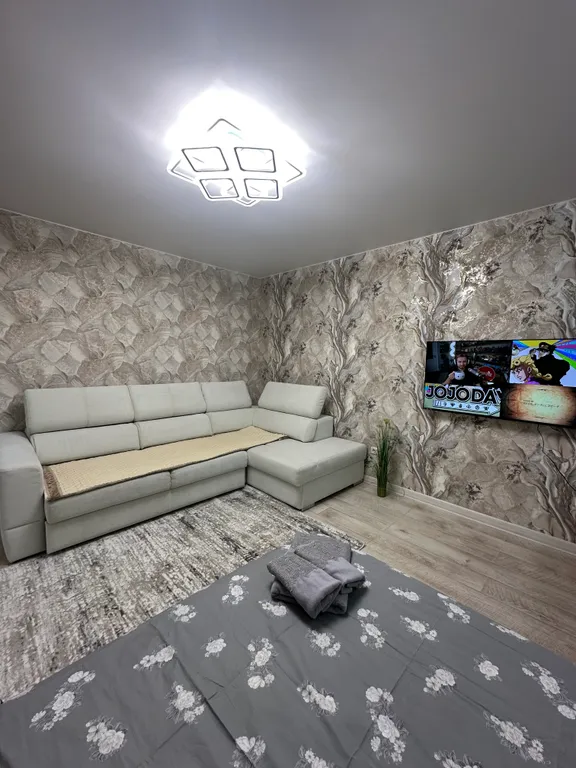 Большая светлая квартира в центре города