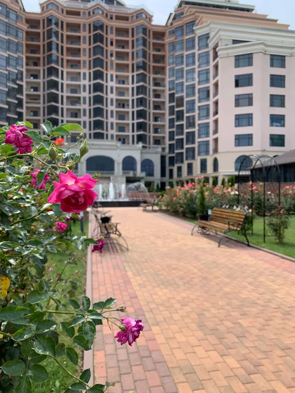 Уютные апартаменты