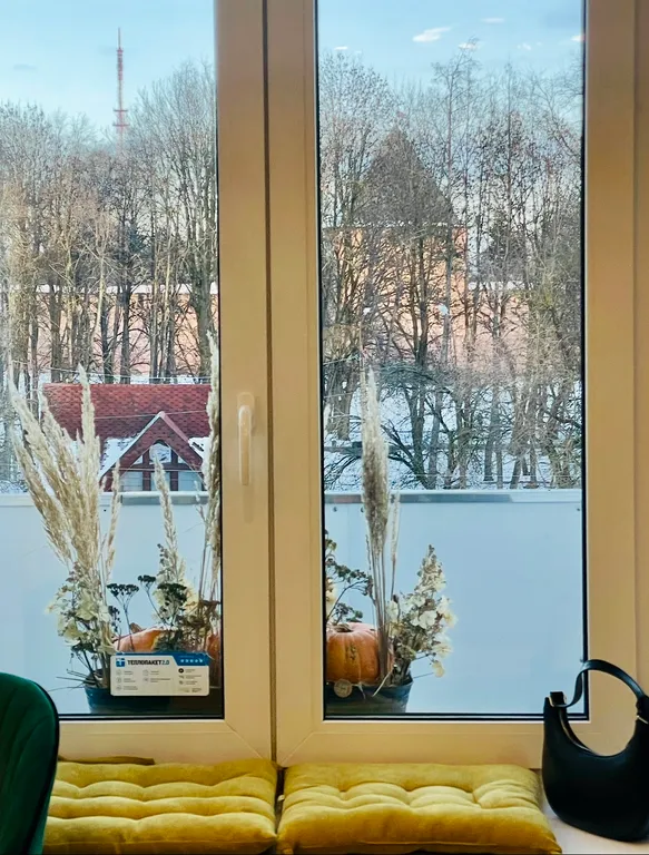 Апартаменты у стен Кремля