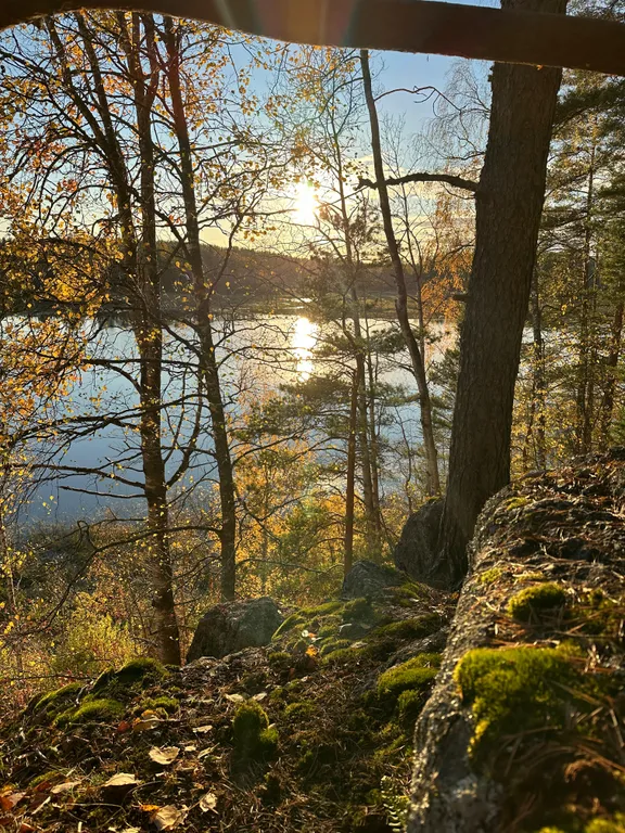 Дом на берегу залива Мусталанлахти