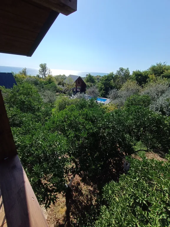 Вилла Barn Haus Kumkvat бассейн с подогревом